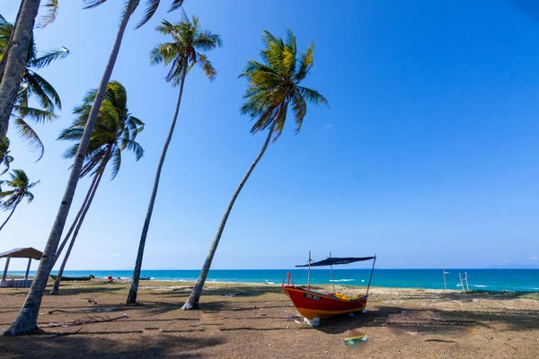 What are the latest travel restrictions in the UK?